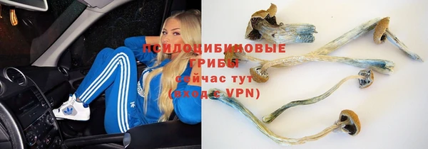 круглые Пересвет