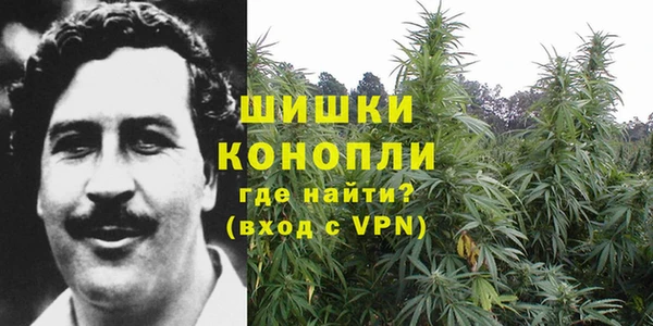 круглые Пересвет