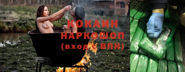круглые Пересвет