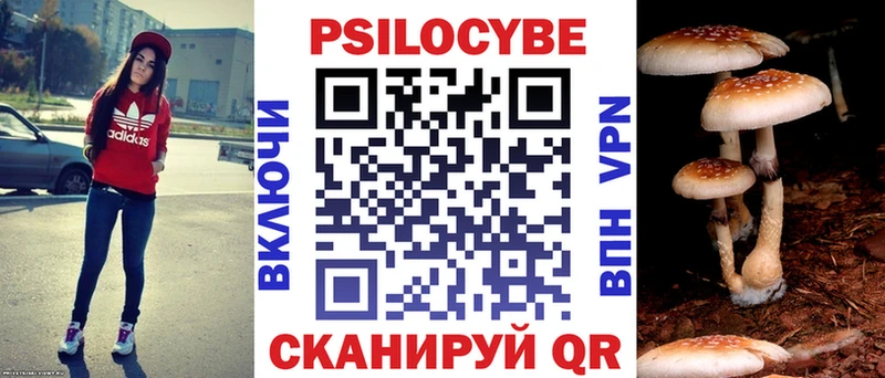 Галлюциногенные грибы Psilocybine cubensis  Купить где  Архангельск 